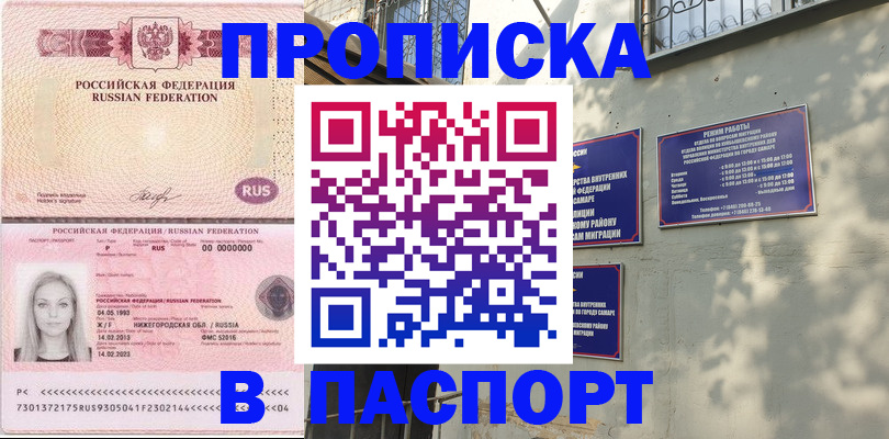 прописка в Сафоново